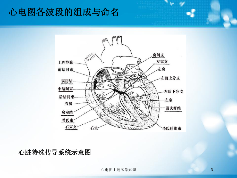 心电图主题医学知识培训课件.ppt_第3页