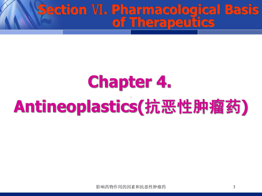 影响药物作用的因素和抗恶性肿瘤药培训课件.ppt_第3页