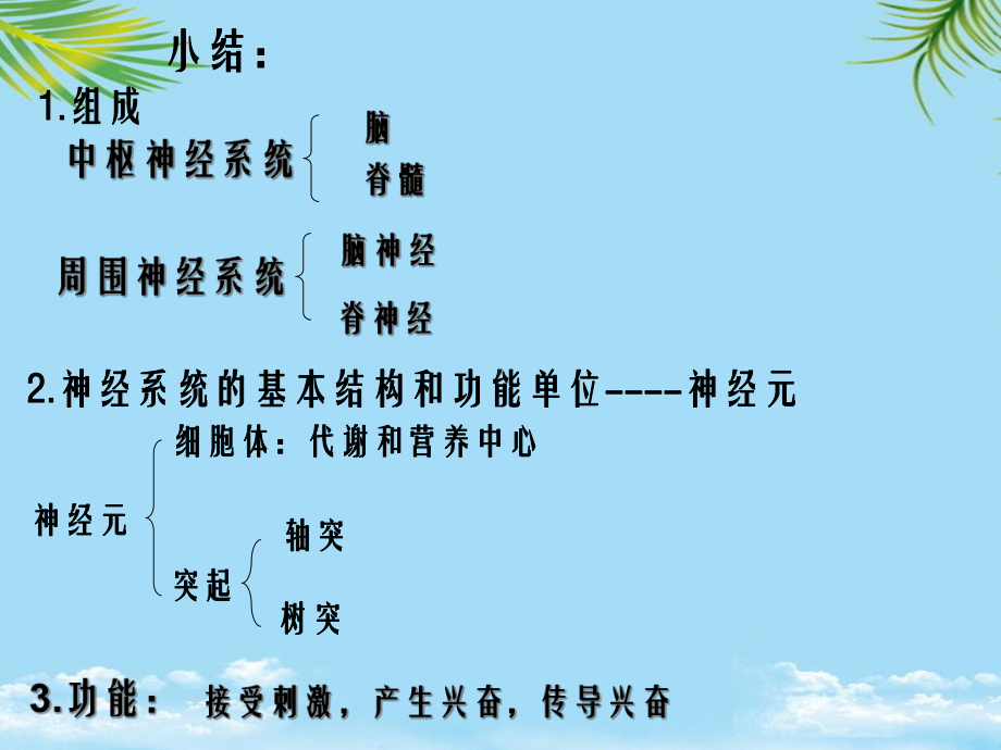 教培用通过神经系统的调节动画课件.ppt_第3页