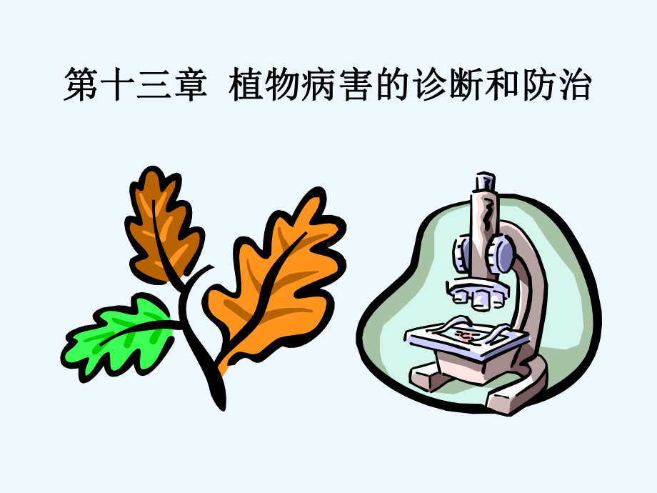 植物病害的诊断与防治课件.ppt_第1页