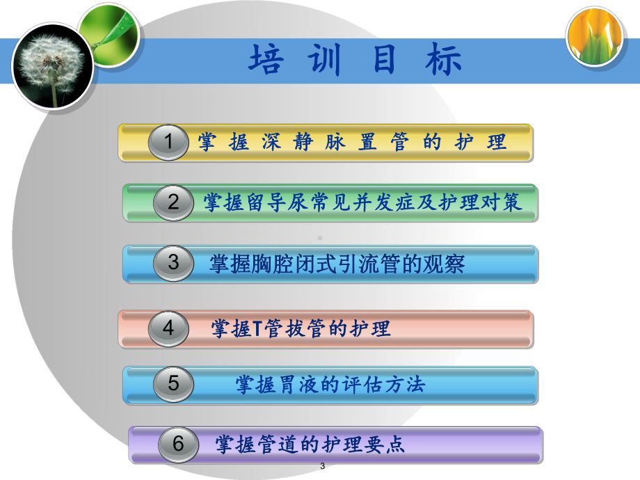 常见管道护理课件.ppt_第3页