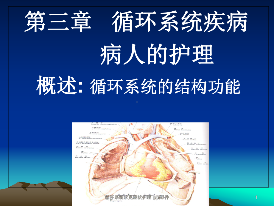 循环系统常见症状护理-课件.ppt_第1页