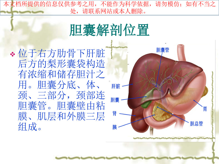 急性化脓性胆囊炎培训课件.ppt_第3页