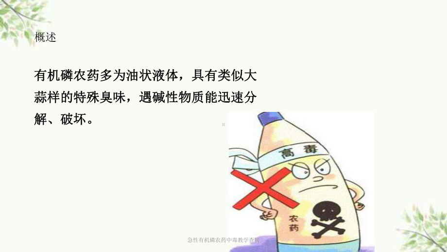 急性有机磷农药中毒教学查房课件.ppt_第2页