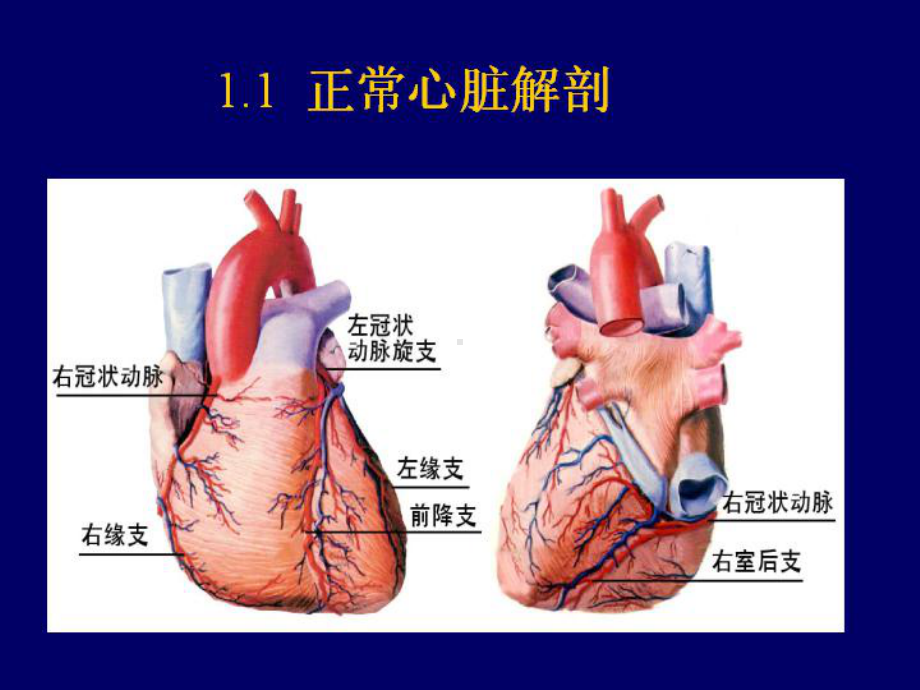 心力衰竭培训教学汇总培训课件.ppt_第2页