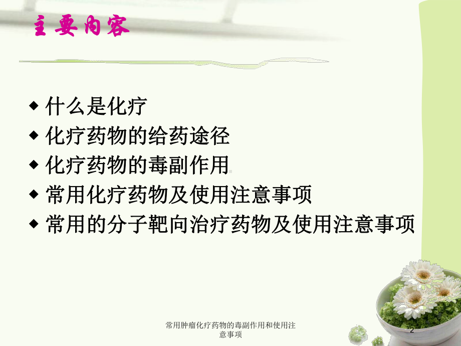 常用肿瘤化疗药物的毒副作用和使用注意事项培训课件.ppt_第2页