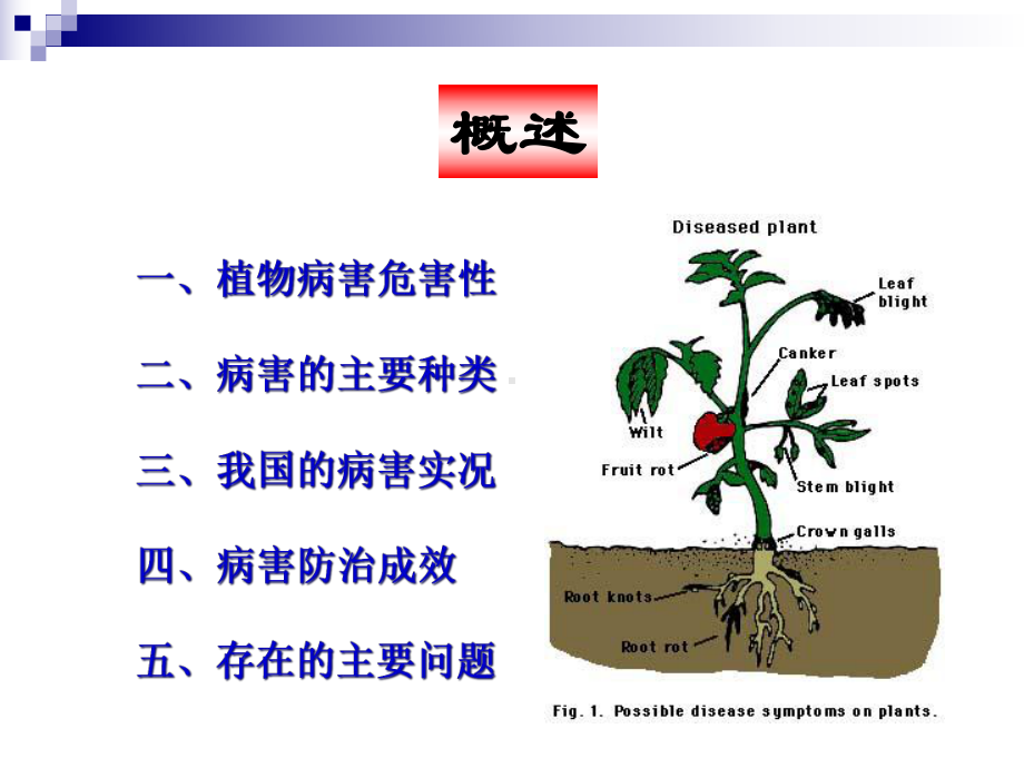 植物病害防治技术及其应用进展课件.ppt_第2页