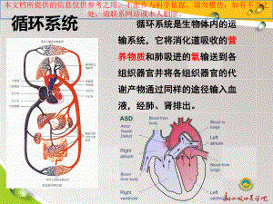 循环系统疾病的中医护理培训课件.ppt