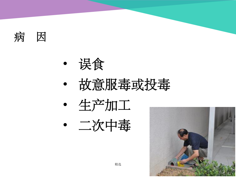 急性灭鼠剂中毒课件-2.ppt_第3页