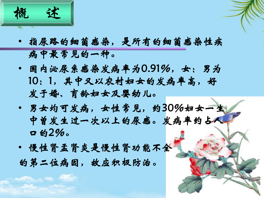 尿路感染课件-4.ppt_第2页