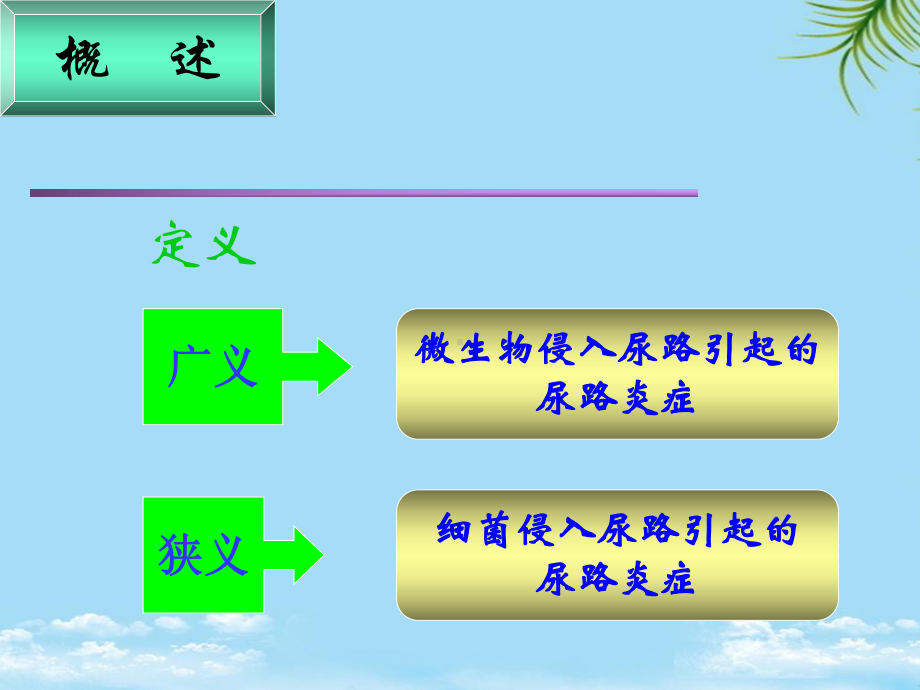 尿路感染课件-4.ppt_第3页