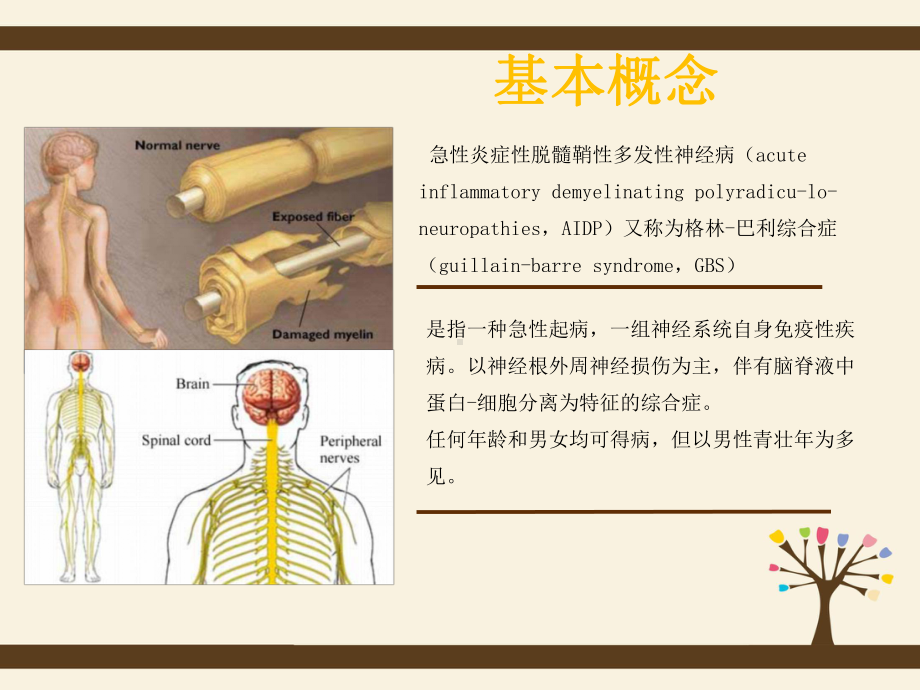 格林巴利综合症的护理查房课件.pptx_第2页