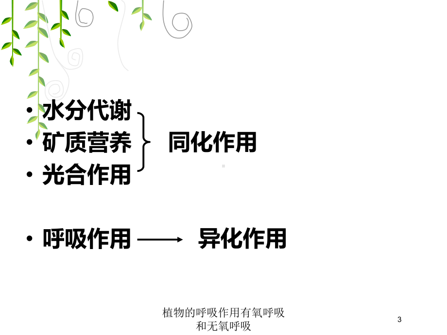 植物的呼吸作用有氧呼吸和无氧呼吸培训课件.ppt_第3页