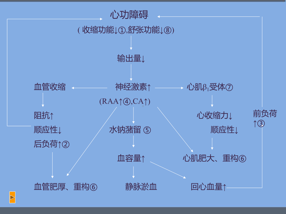 抗充血性心力衰竭药-课件.pptx_第3页