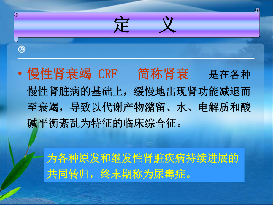 慢性肾衰竭患者护理查房课件.ppt_第2页