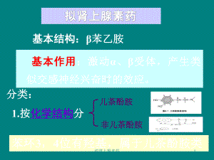 拟肾上腺素药培训课件.ppt