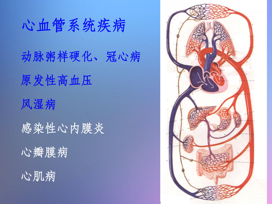 心血管系统疾病课件-2.ppt_第2页