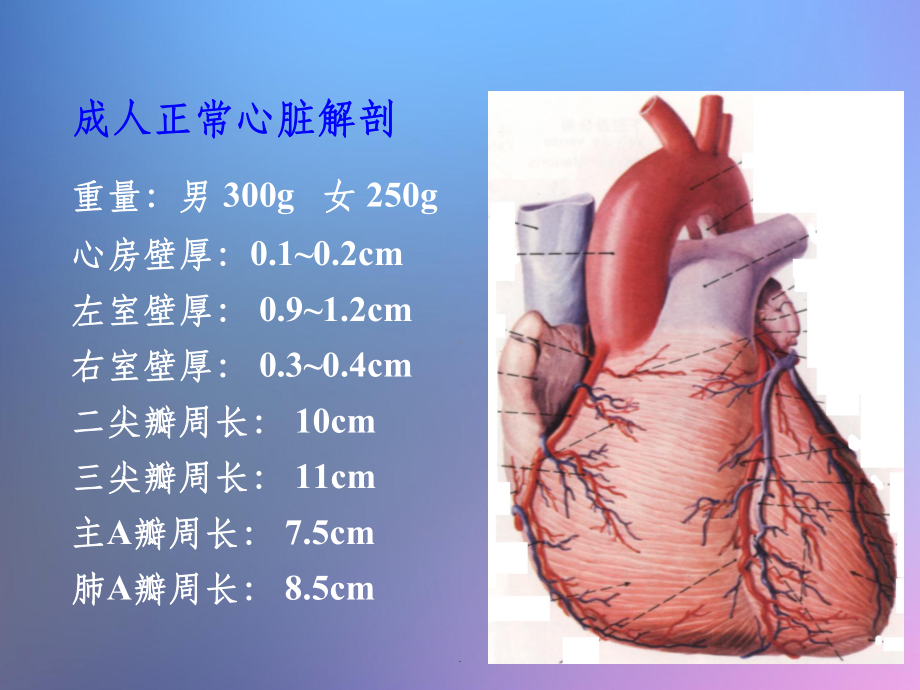 心血管系统疾病课件-2.ppt_第3页