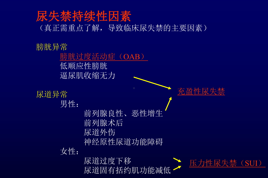 尿失禁分类与治疗课件.pptx_第3页