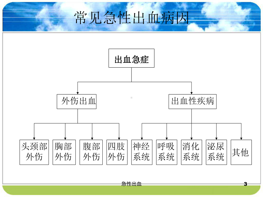 急性出血课件.ppt_第3页