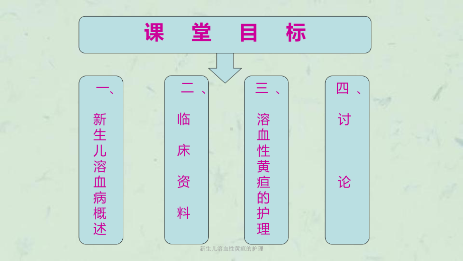 新生儿溶血性黄疸的护理课件.ppt_第2页