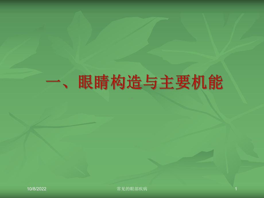 常见的眼部疾病培训课件.ppt_第1页