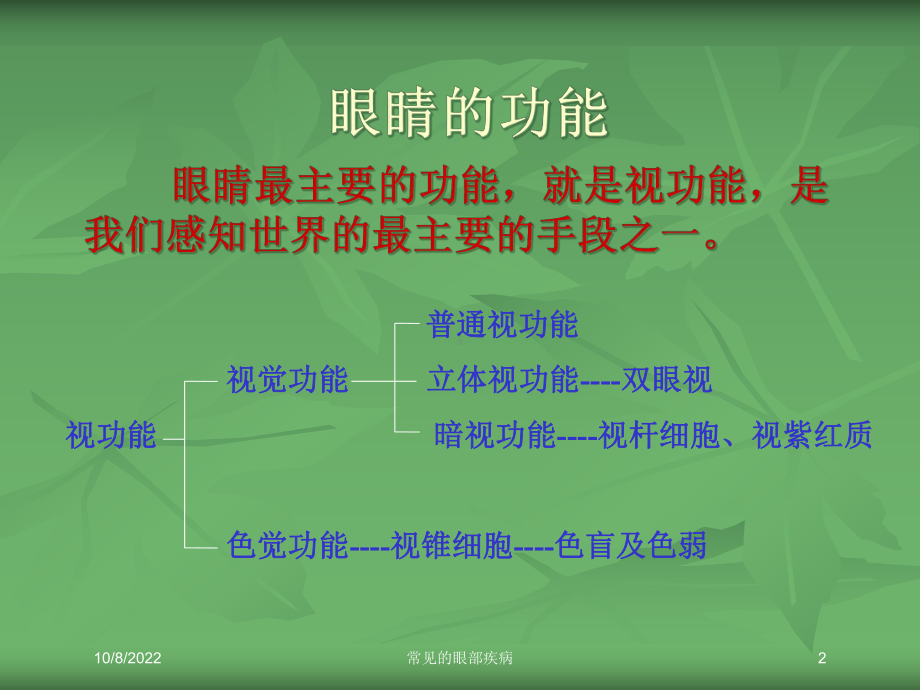 常见的眼部疾病培训课件.ppt_第2页