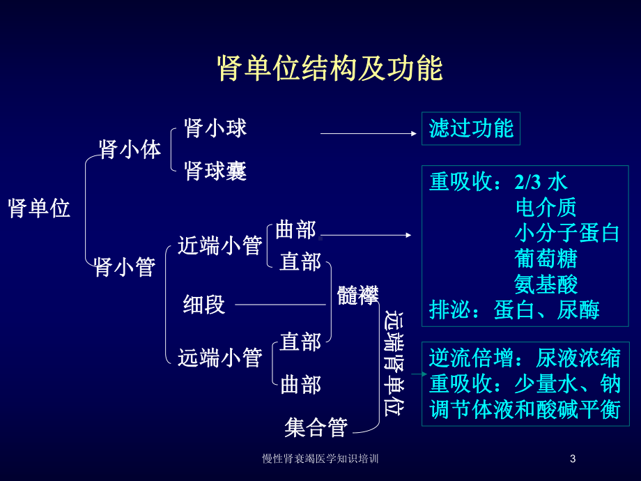 慢性肾衰竭医学知识培训培训课件.ppt_第3页