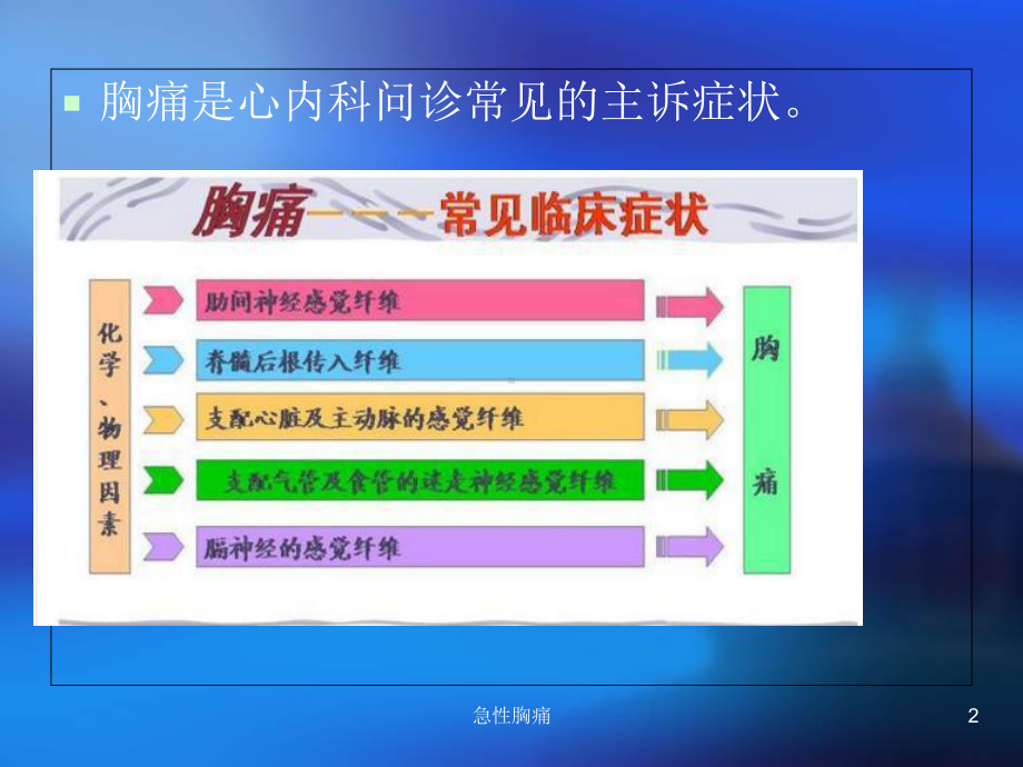 急性胸痛课件.ppt_第2页