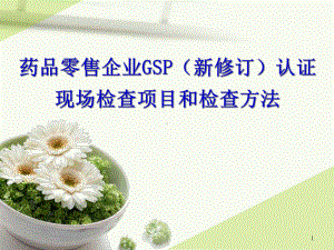 新版GSP条款讲解课件.ppt