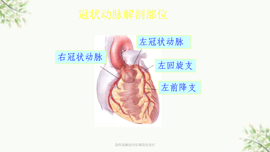 急性冠脉综合征规范化治疗课件.ppt_第3页