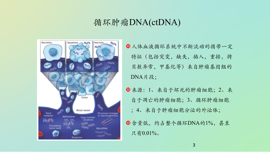 循环肿瘤DNA意义参考课件.ppt_第3页