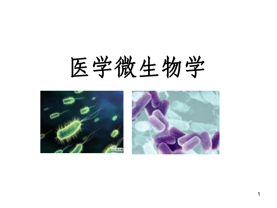 微生物学绪论和细菌生物学性状基础医学概论课件.ppt_第1页