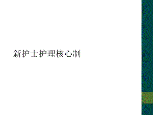 新护士护理核心制课件.ppt