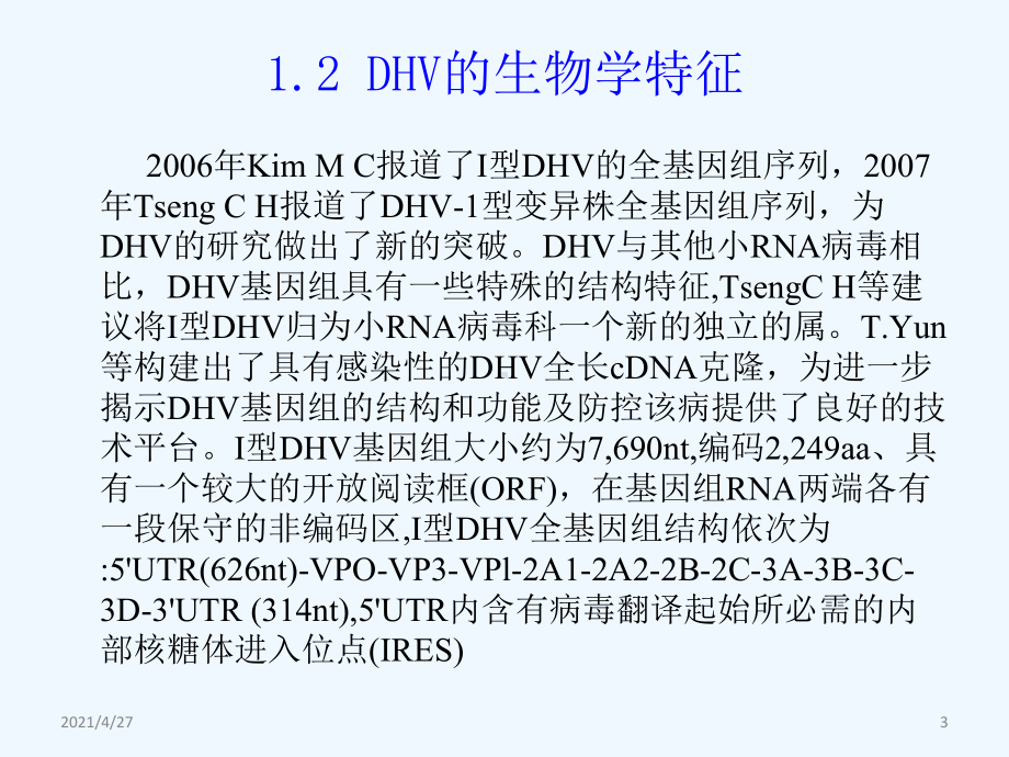 新型鸭病毒性肝炎病毒课件.ppt_第3页