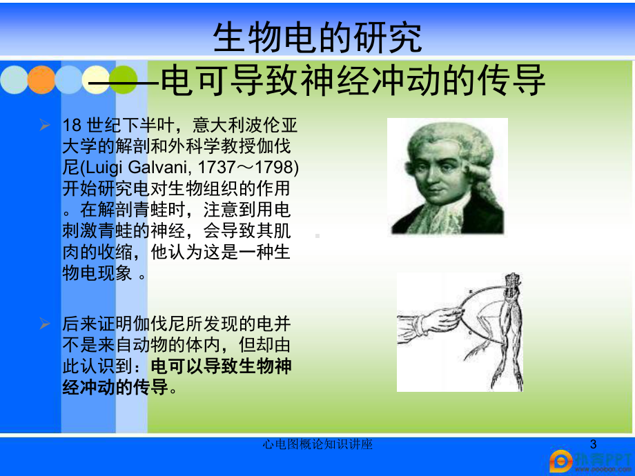 心电图概论知识讲座培训课件.ppt_第3页