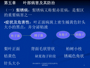 林木病理学-叶部病害及其防治林学-课件.ppt