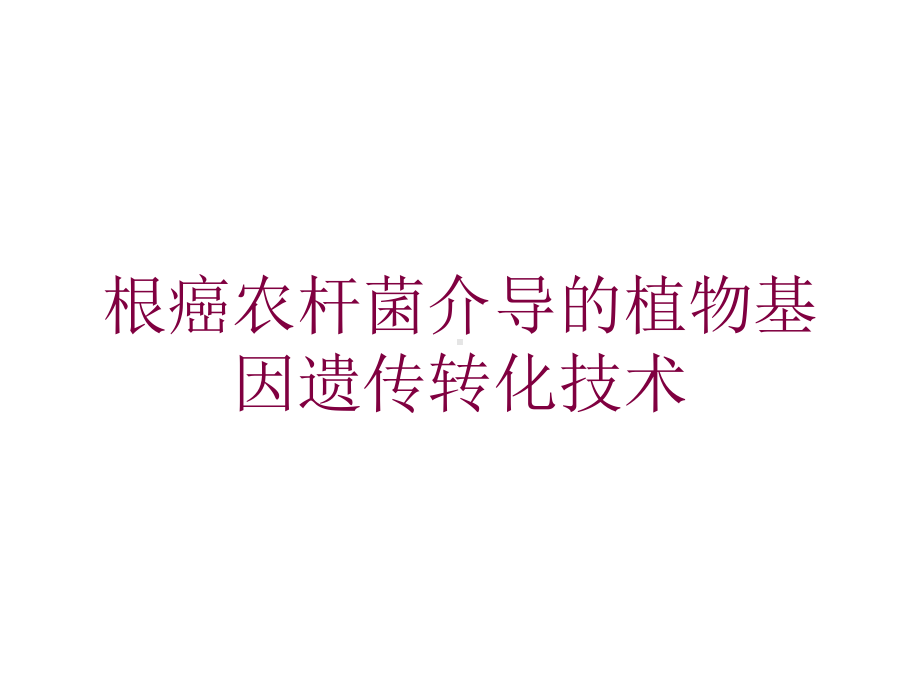 根癌农杆菌介导的植物基因遗传转化技术培训课件.ppt_第1页