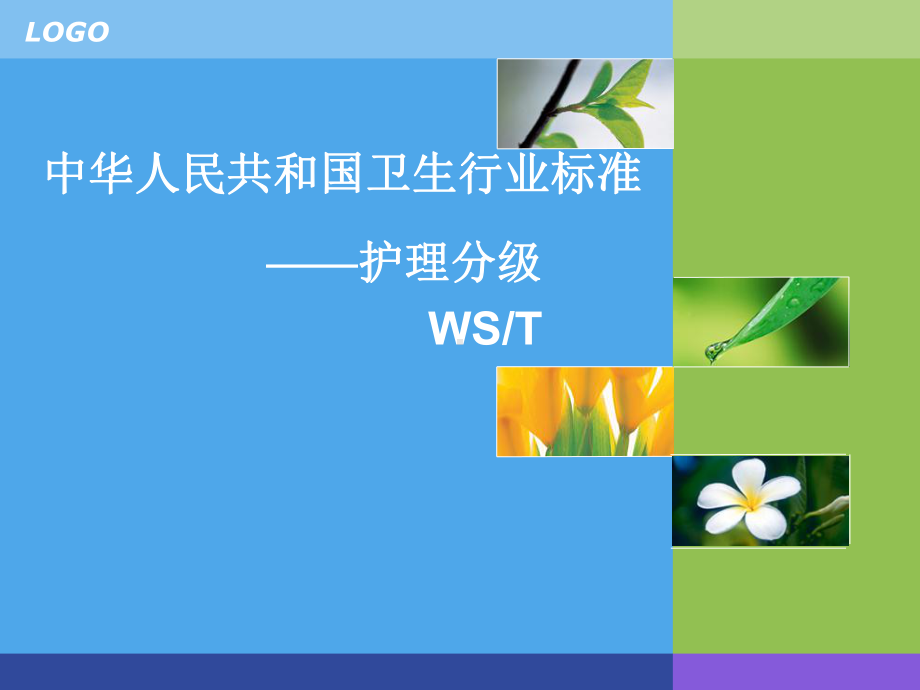 标准-护理分级课件.ppt_第1页