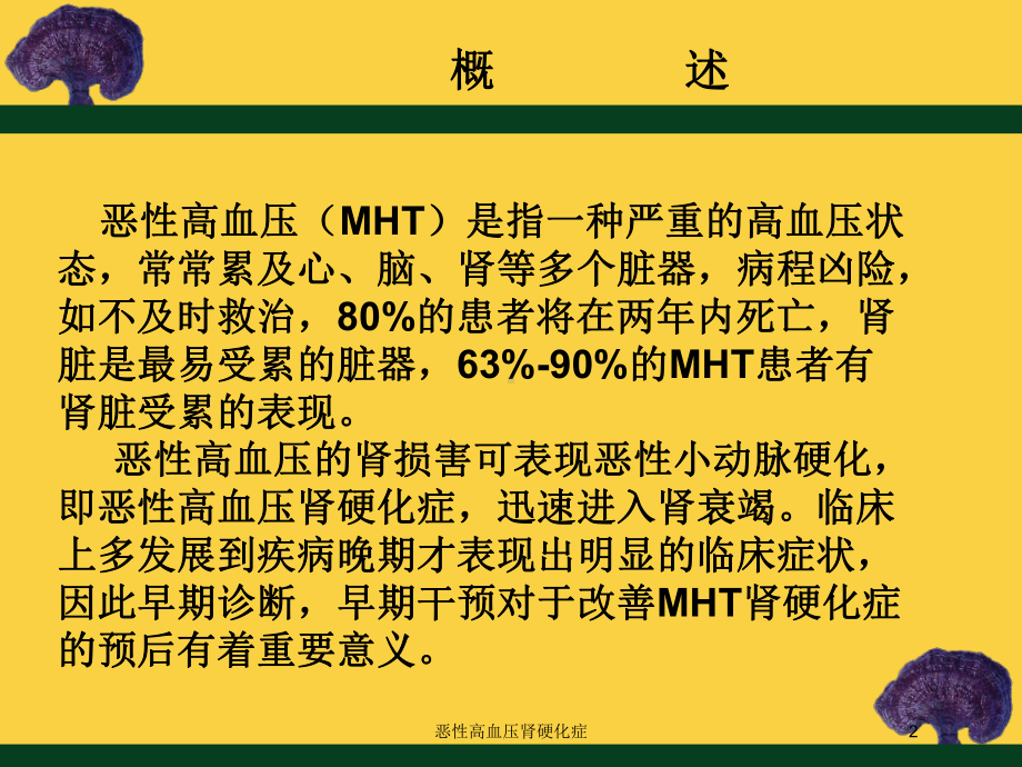 恶性高血压肾硬化症培训课件.ppt_第2页