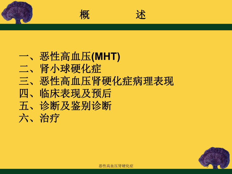 恶性高血压肾硬化症培训课件.ppt_第3页