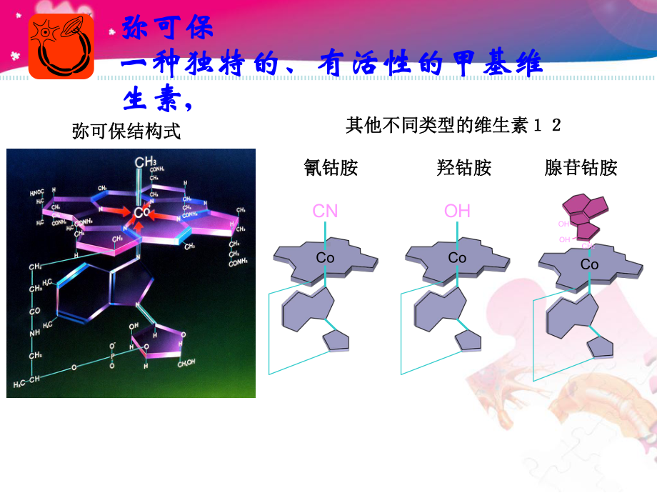 弥可保治疗急性期根性症状课件.ppt_第2页