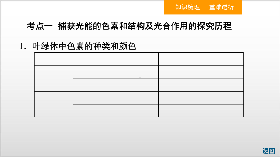 新教材《光合作用与能量转化》人教版1课件.ppt_第3页