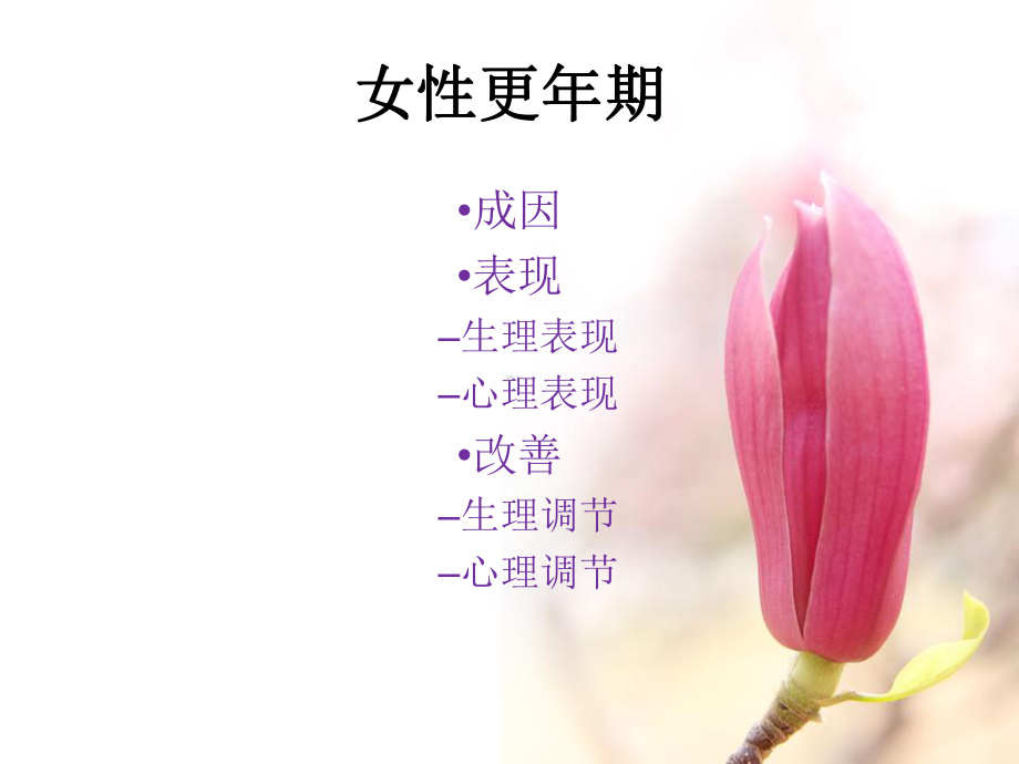 更年期综合征课件-2.ppt_第3页