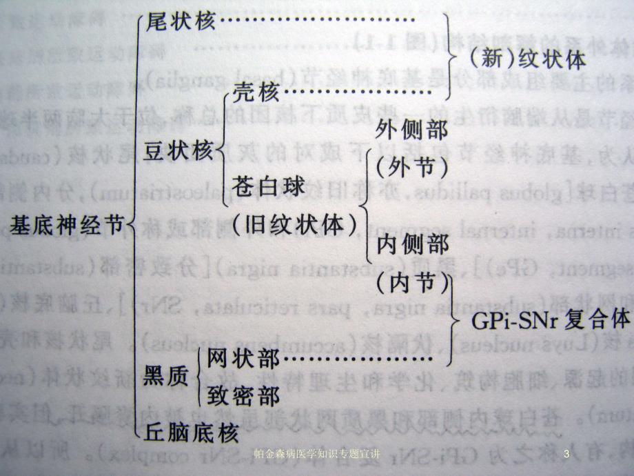 帕金森病医学知识专题宣讲培训课件.ppt_第3页