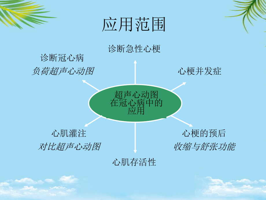 教培用超声心动图诊断冠心病课件.ppt_第2页