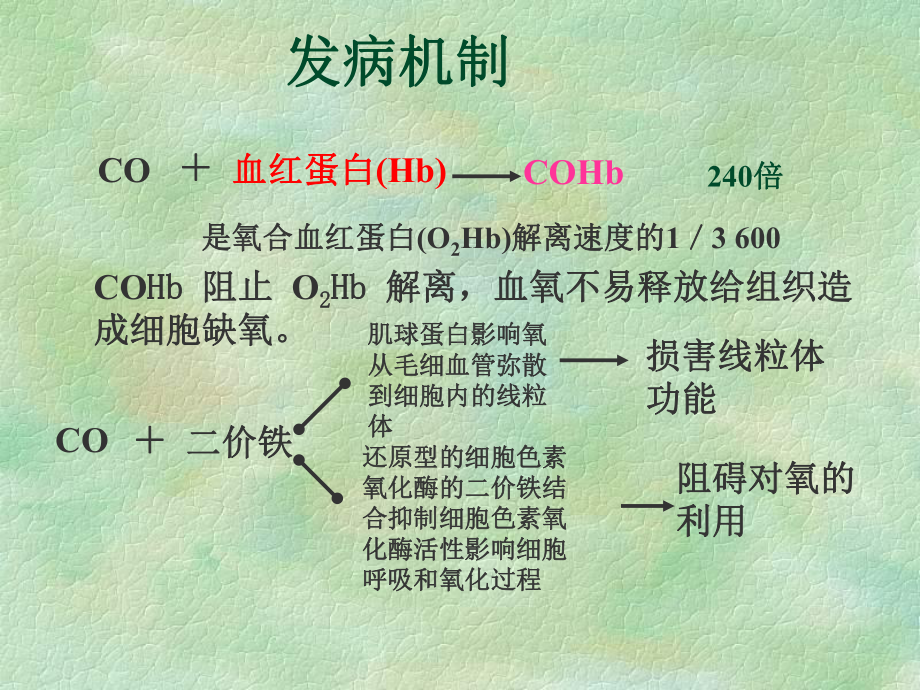 急性CO中毒的诊治课件.pptx_第3页