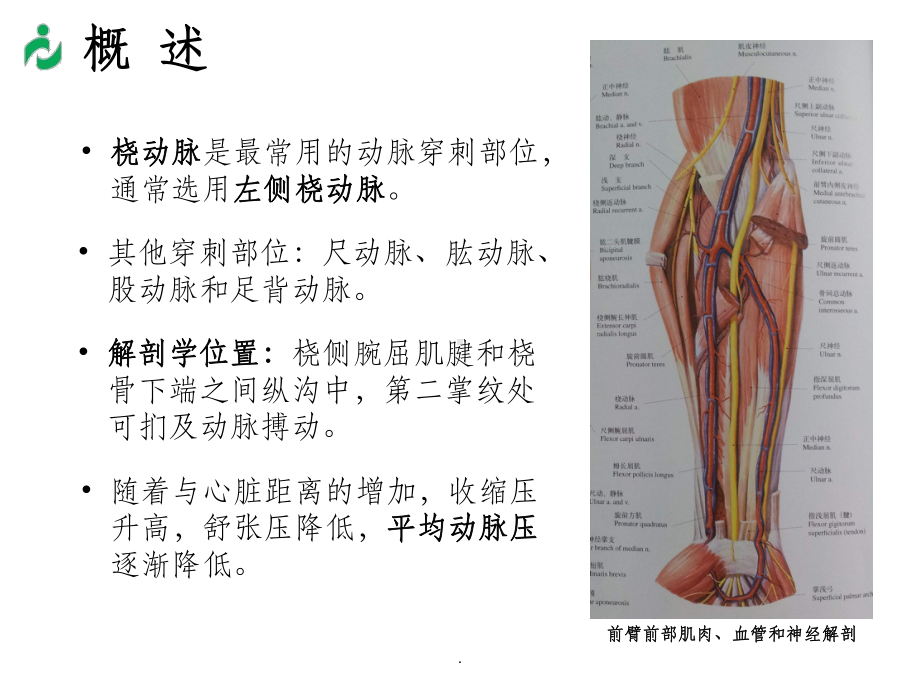 桡动脉穿刺置管操作与压力监测专家共识课件.ppt_第3页