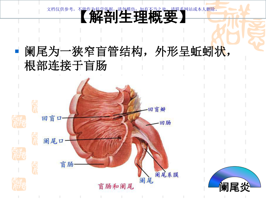 急性阑尾炎专业知识课件.ppt_第1页