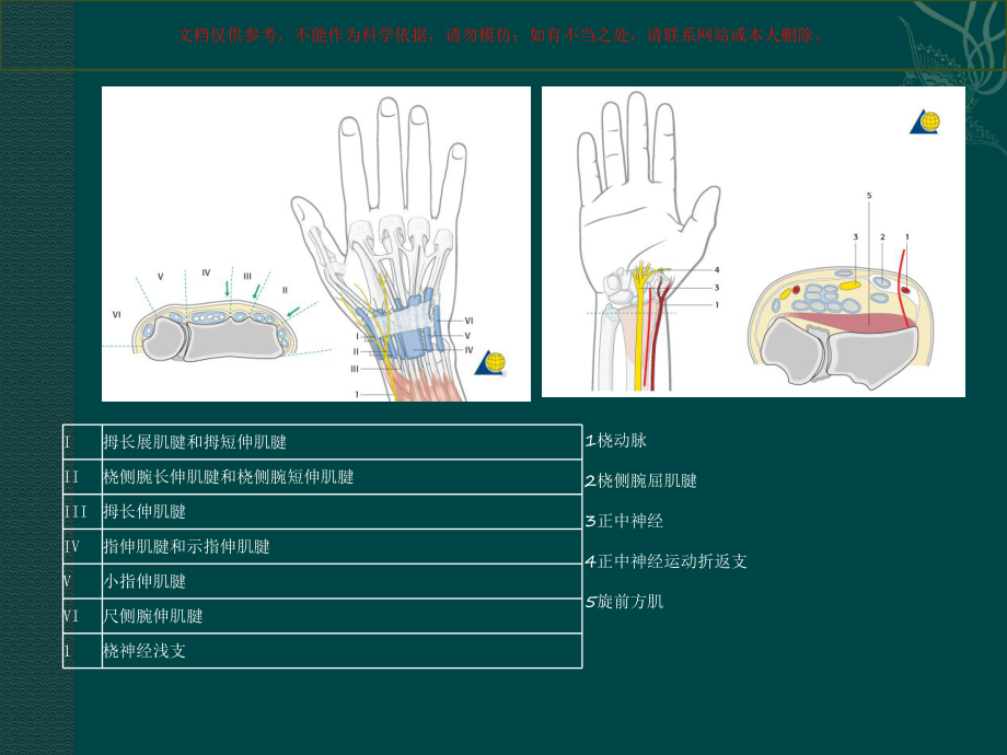 桡骨远端骨折培训课件.ppt_第1页